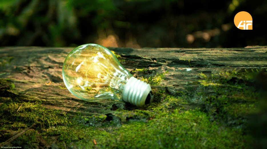 ©Canva/Getty/Boy Wirat Eine leuchtende Glühbirne auf einem Baumstamm.